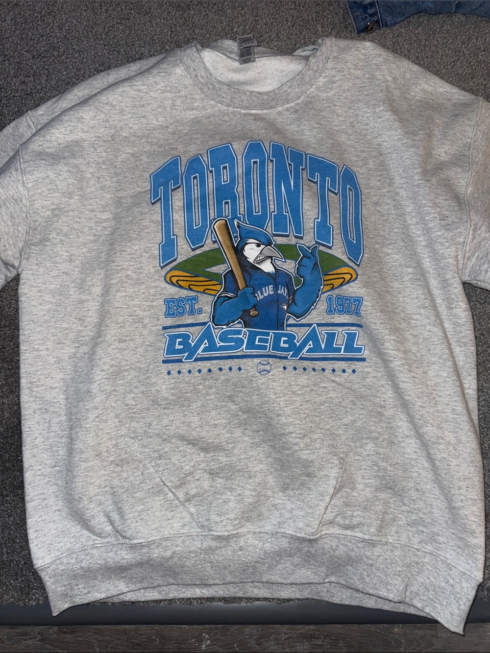 Toronto Baseball Graphic Sweatshirt - Gray & Blue